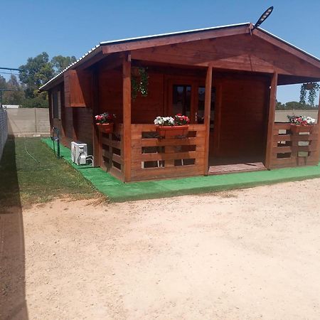 Bungalow Sol Чиклана-де-ла-Фронтера Экстерьер фото
